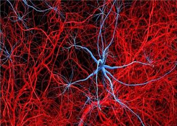 آلزایمر با تخریب عصبها در بافت چربی، فراتر از مغز اثر میگذارد