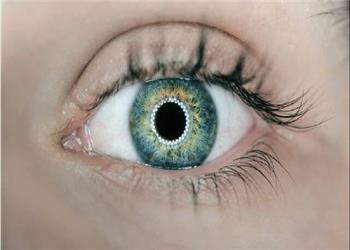 بازگشت بینایی یک بیمار با قرنیه چاپ سهبعدی