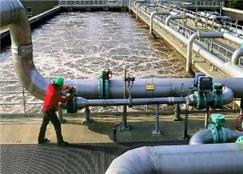 تبدیل ضایعات چوب به جاذب تصفیه پسابهای صنعتی در دانشگاه آزاد شهرری