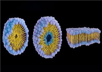 زیردریاییهای پروتئینی علیه سرطان؛ دارورسانی هوشمند بدون عوارض گسترده