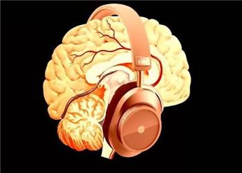موسیقی، مدیتیشن و مغز؛ پژوهشی تازه درباره سازوکار تجربههای روانگردان
