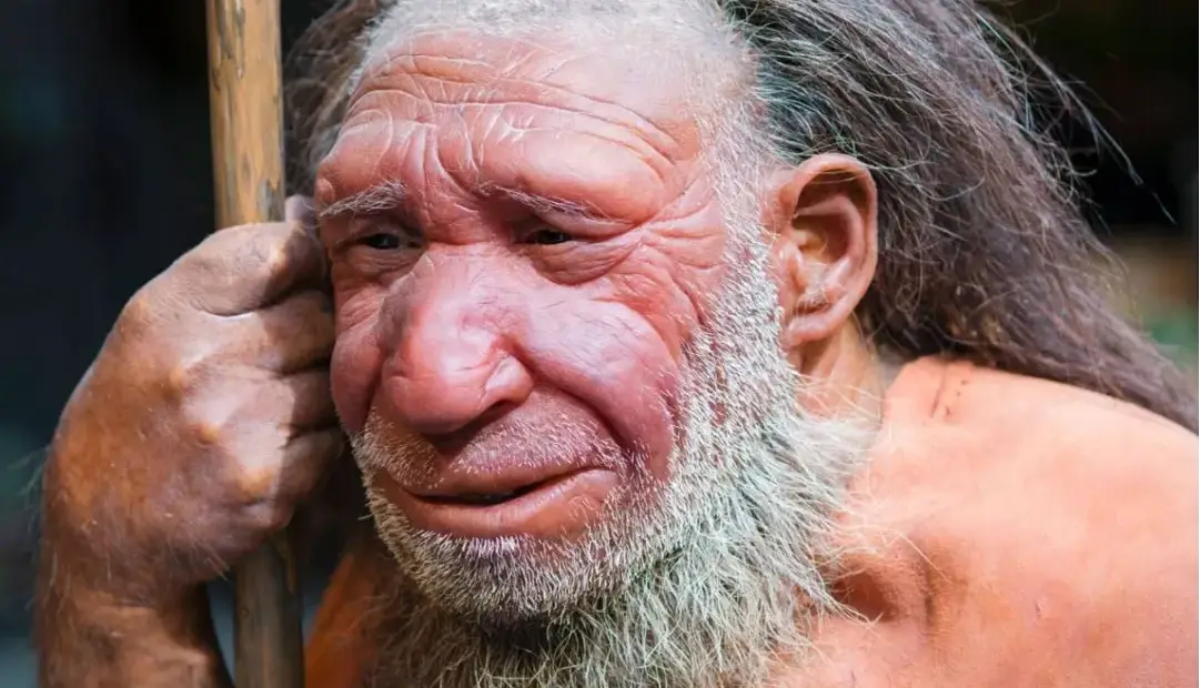 رد باوری قدیمی؛ بینی بزرگ نئاندرتالها برای سازگاری با سرما تکامل نیافته بود